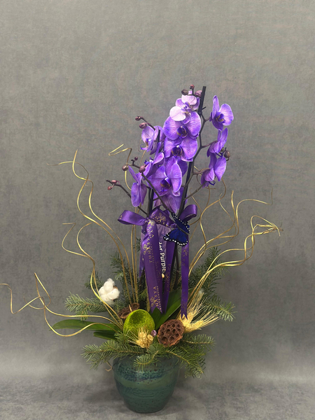 İthal Mor Kırçıllı Çift Dallı Orkide