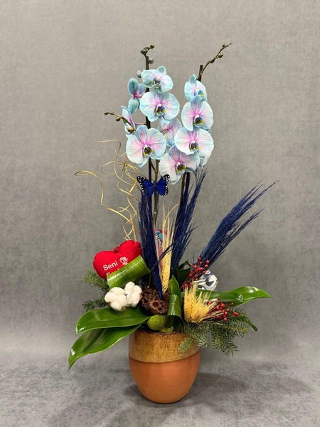 İthal Turkuaz Orkide Saksı Aranjmanı